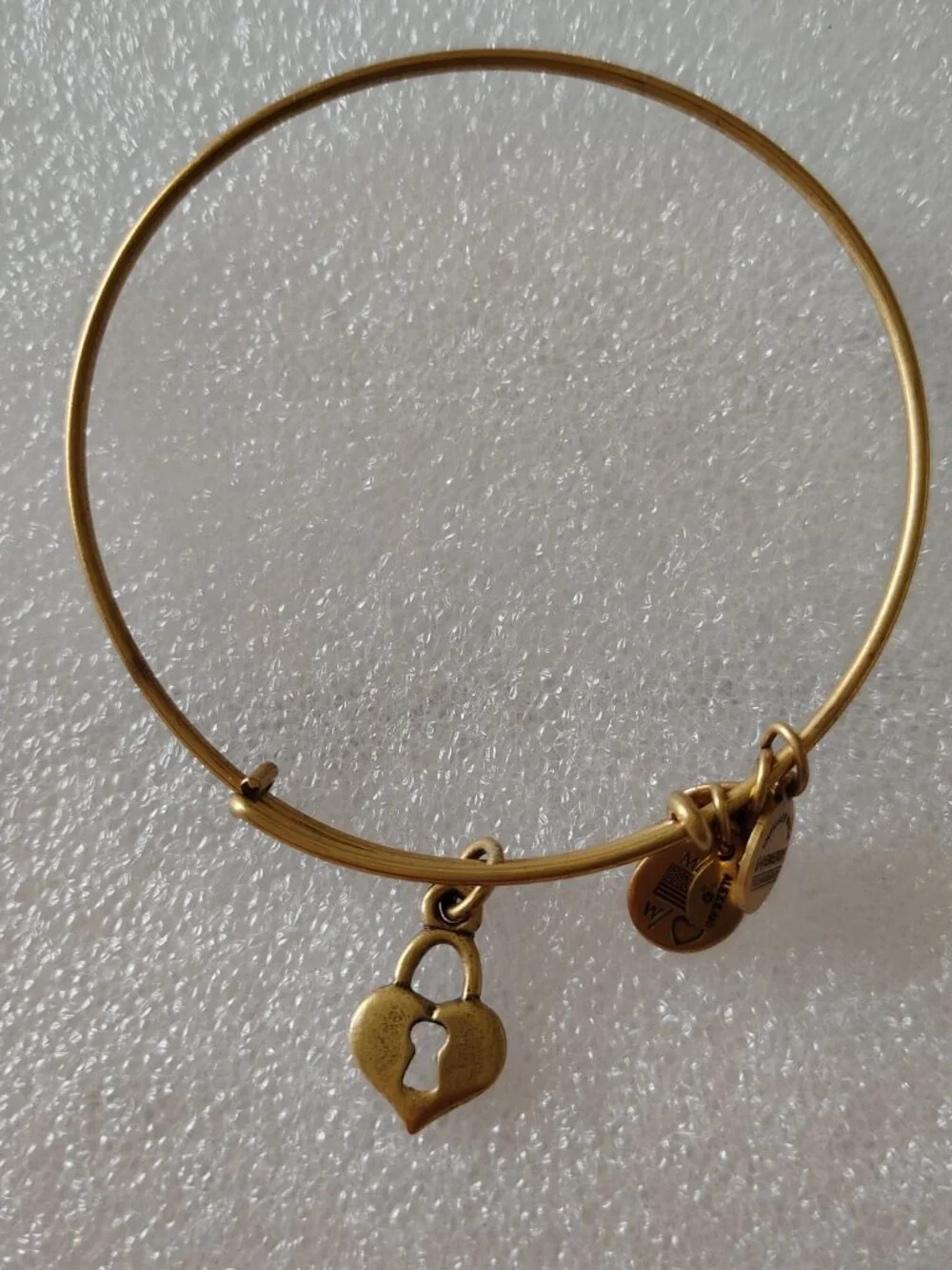 NWNT Alex and Ani heart Keyhole Bracelet 411